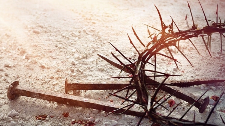 Crown of Thorns and nails 2